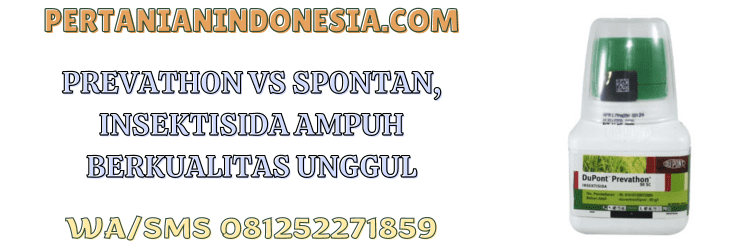 insektisida ampuh,petani,budidaya,tanaman,budidaya tanaman,pertanian indonesia